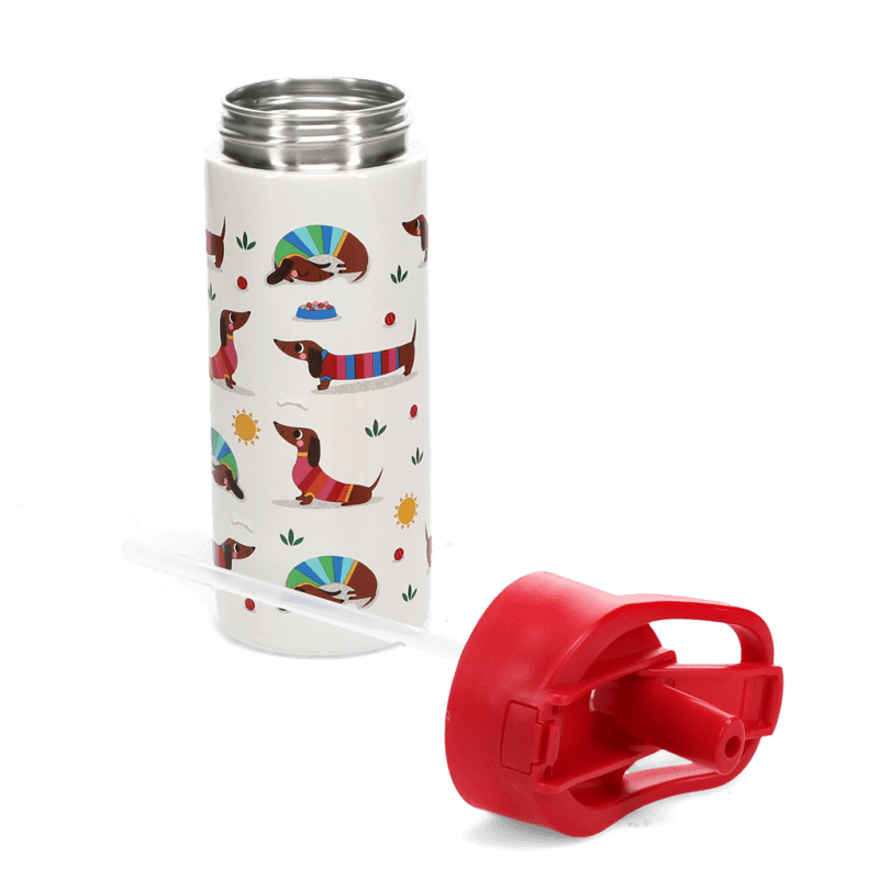 Stainless Steel Kids Water Bottle 500ml - Sunny Sausage Dog