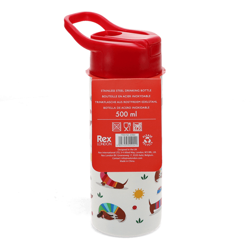 Stainless Steel Kids Water Bottle 500ml - Sunny Sausage Dog