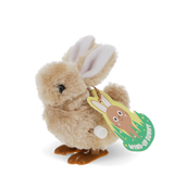 Wind Up Bunny Toy