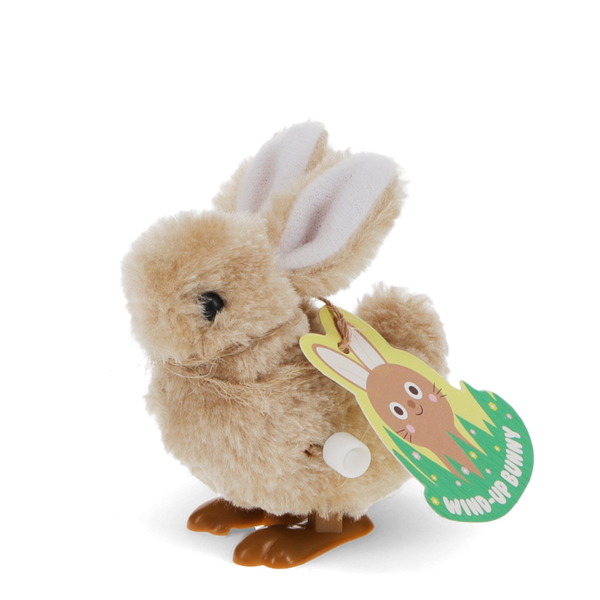 Wind Up Bunny Toy