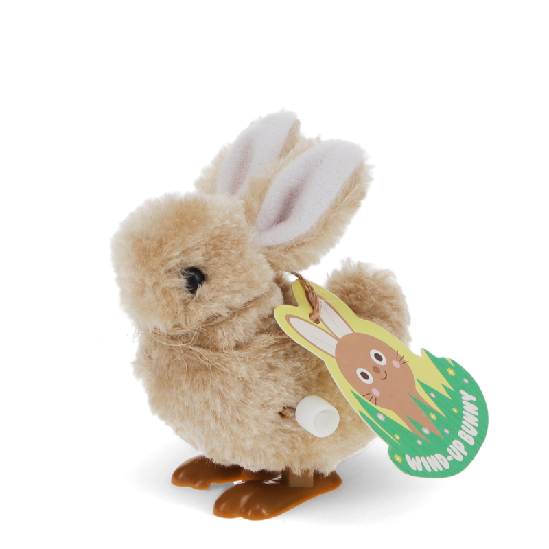 Wind Up Bunny Toy