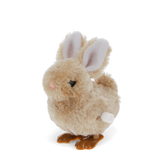 Wind Up Bunny Toy