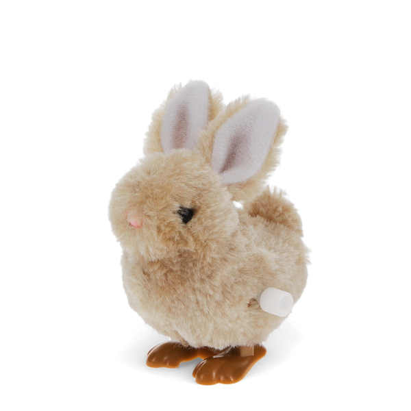 Wind Up Bunny Toy