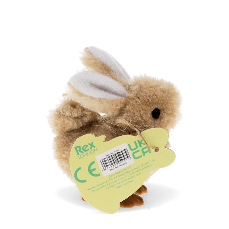 Wind Up Bunny Toy